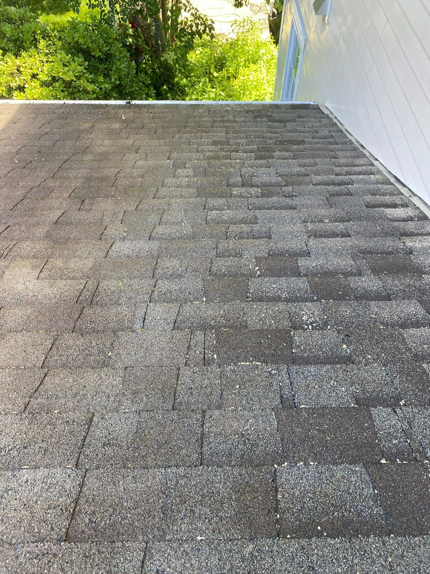 Steep gray shingled roof leading up to green trees and a blue sky corner