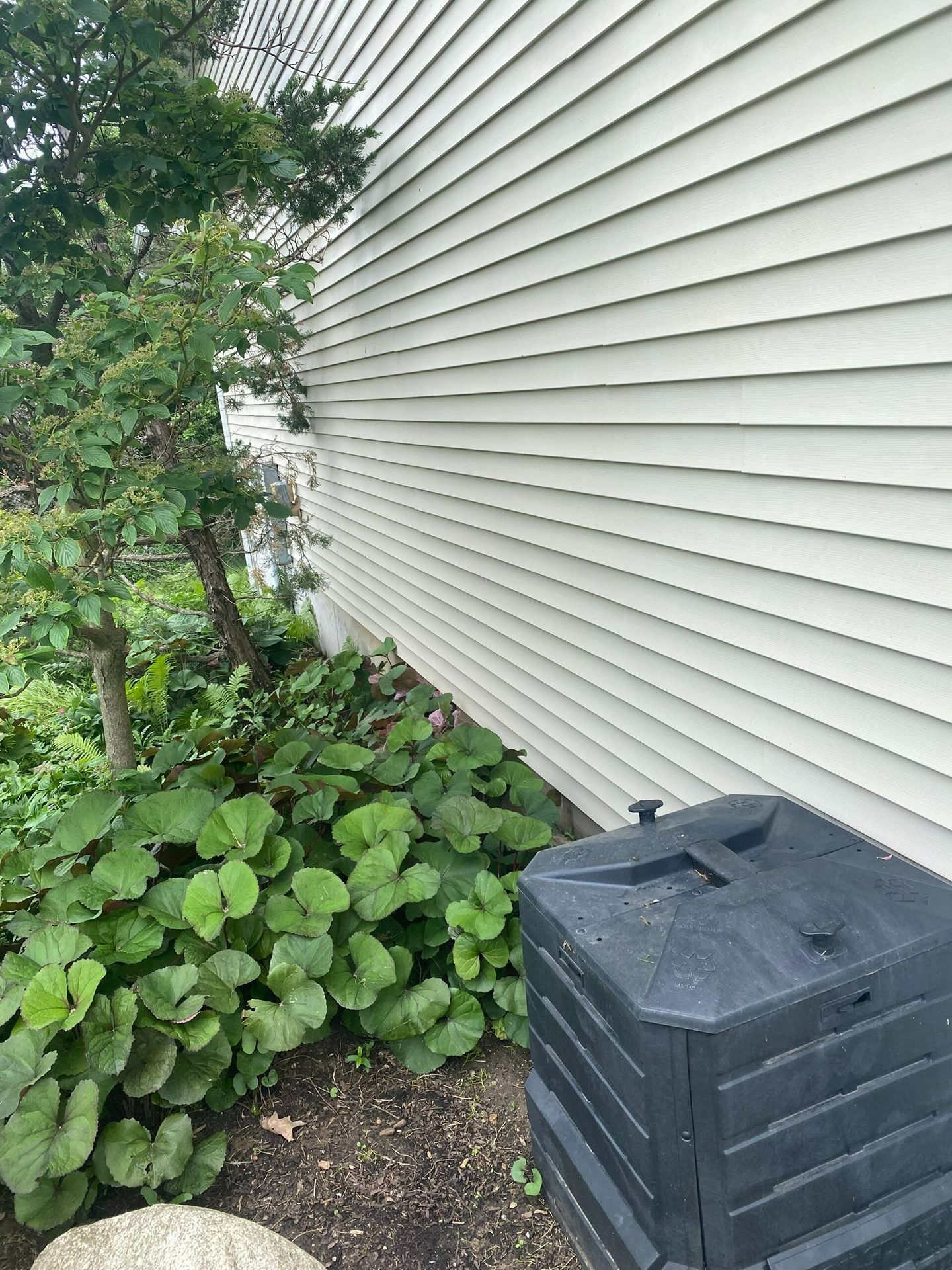 Side of a house with white siding, green shrubs, and a black compost bin beside a walkway.