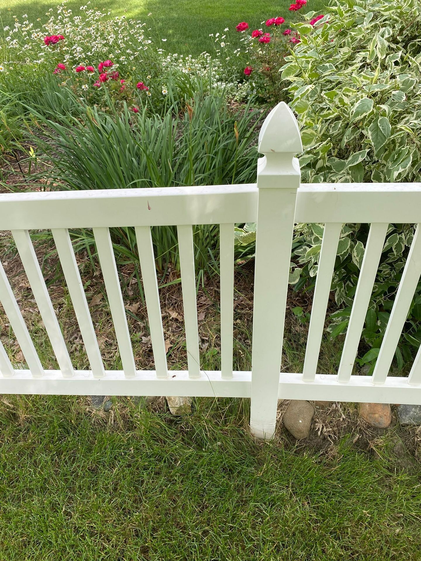 White picket fence in front of a green garden with pink flowers