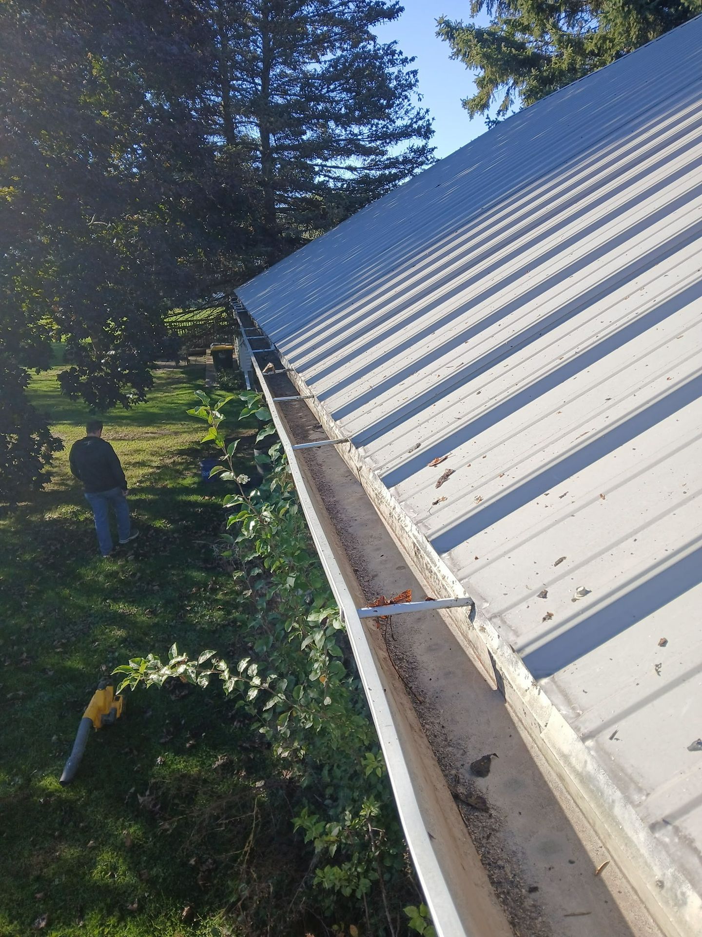 Worker on ladder inspecting a white metal roof beside trees and a house