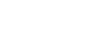 STELVI-LOGO