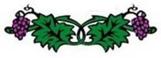 logo icon