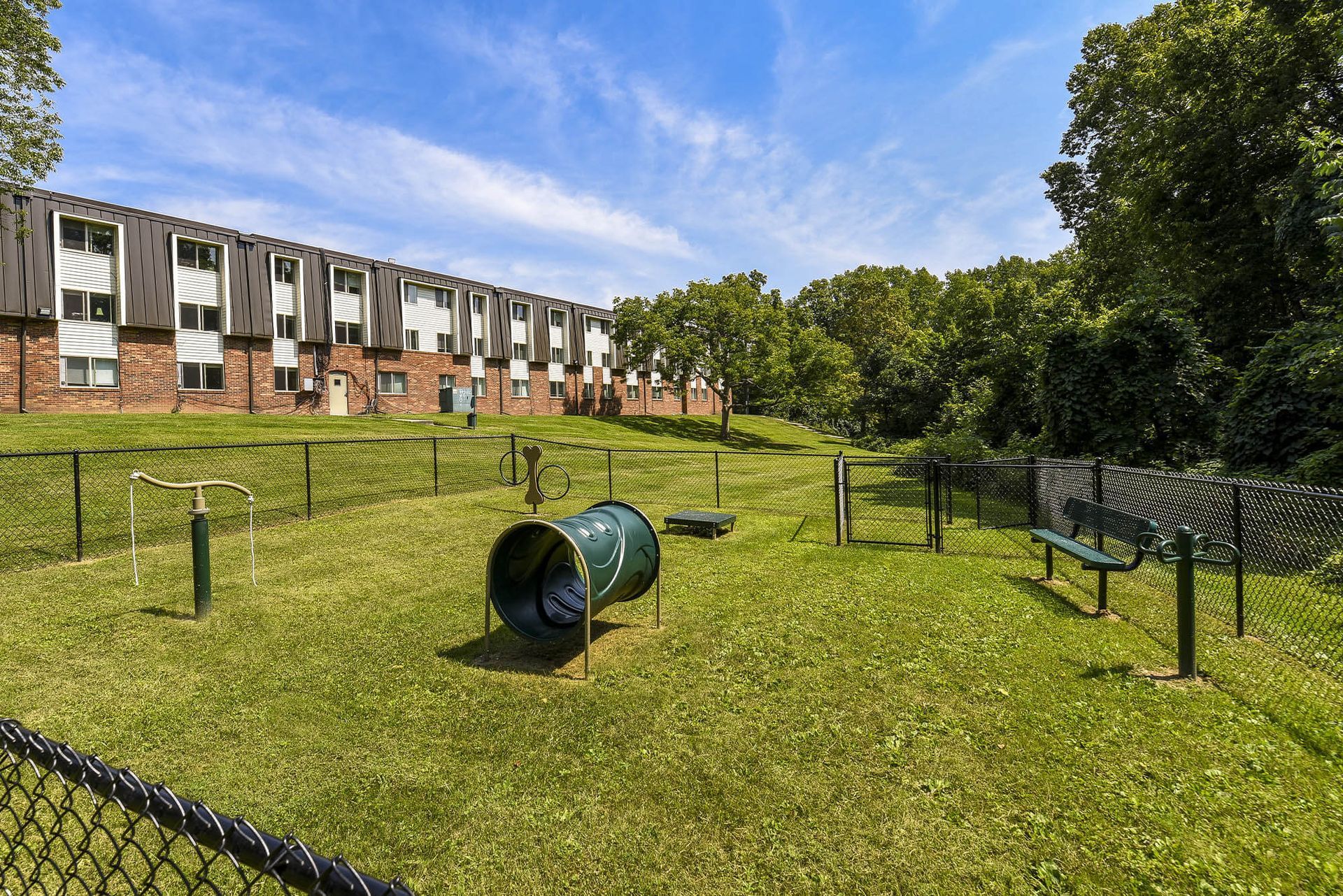 Grassy fenced dog park with agility obstacles beside apartment buildings and trees under a blue sky