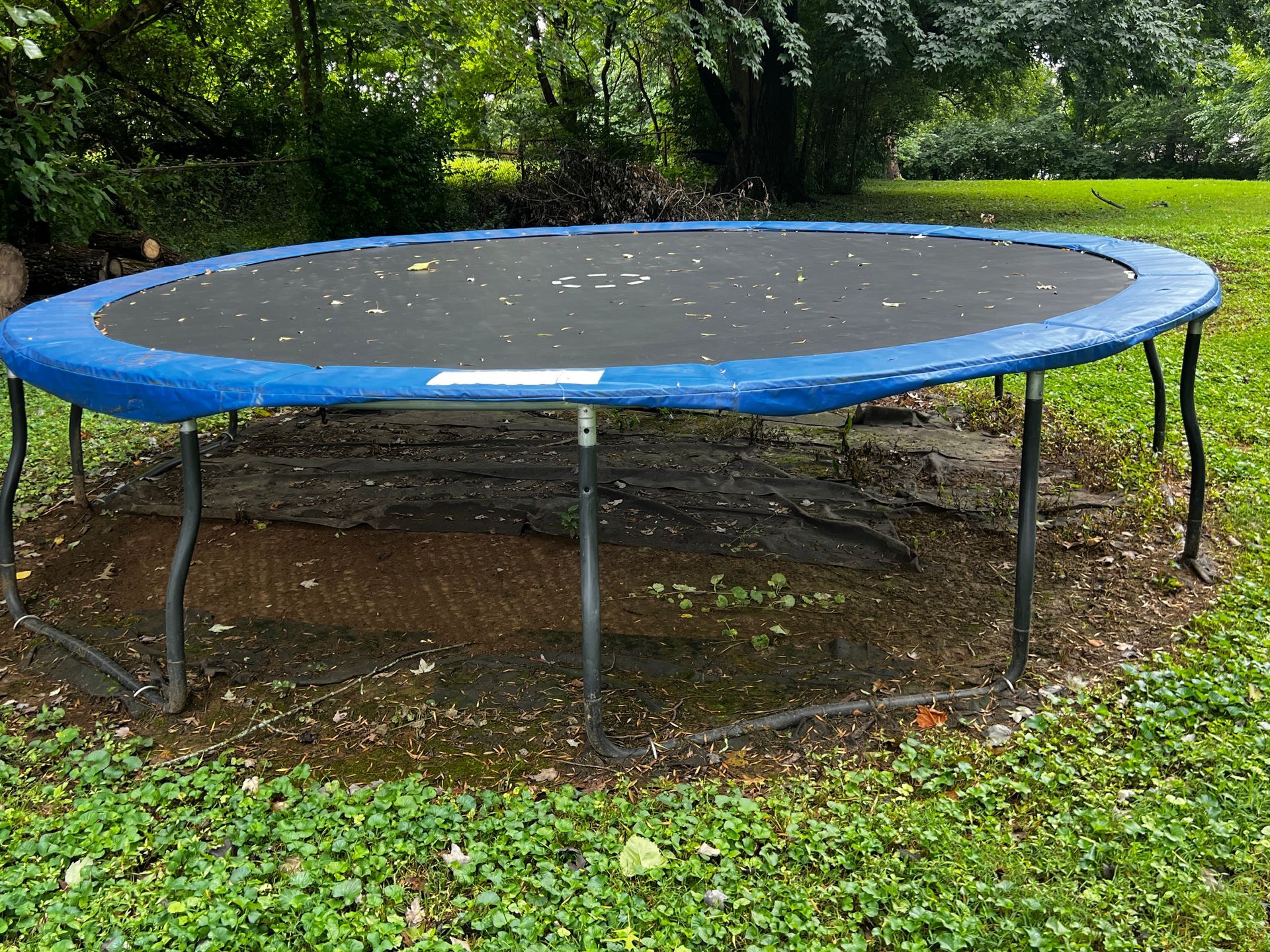 Round above-ground trampoline with turquoise padding on a grassy lawn in front of hedges and trees