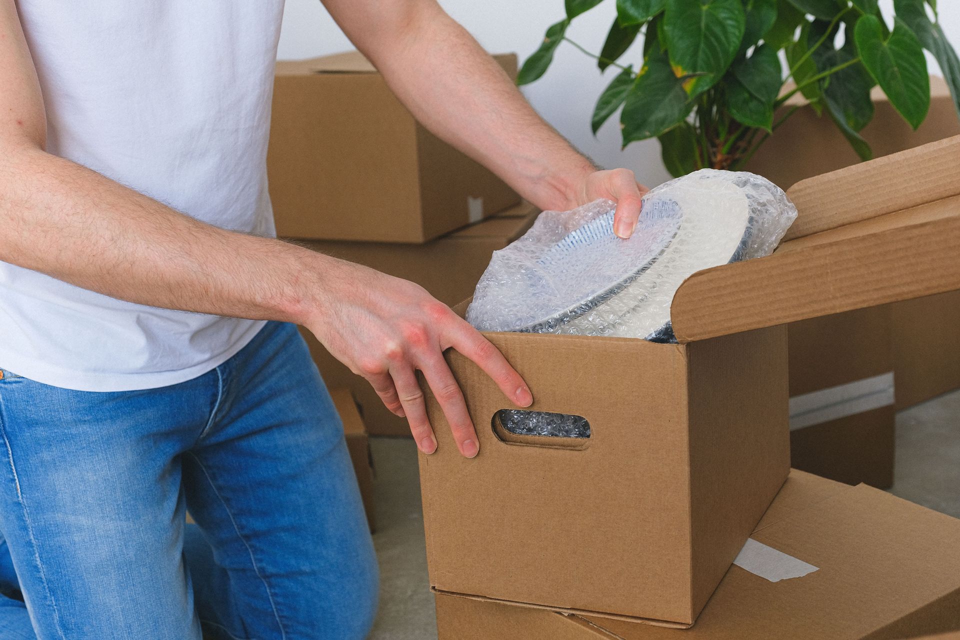 Person packing clothes into a cardboard moving box beside a plant and stacked boxes