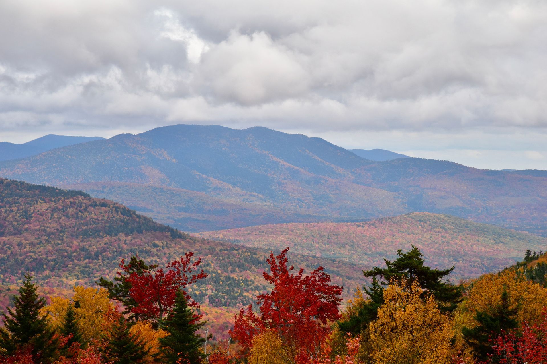 Autumn foliage with a blue mountain range under cloudy sky