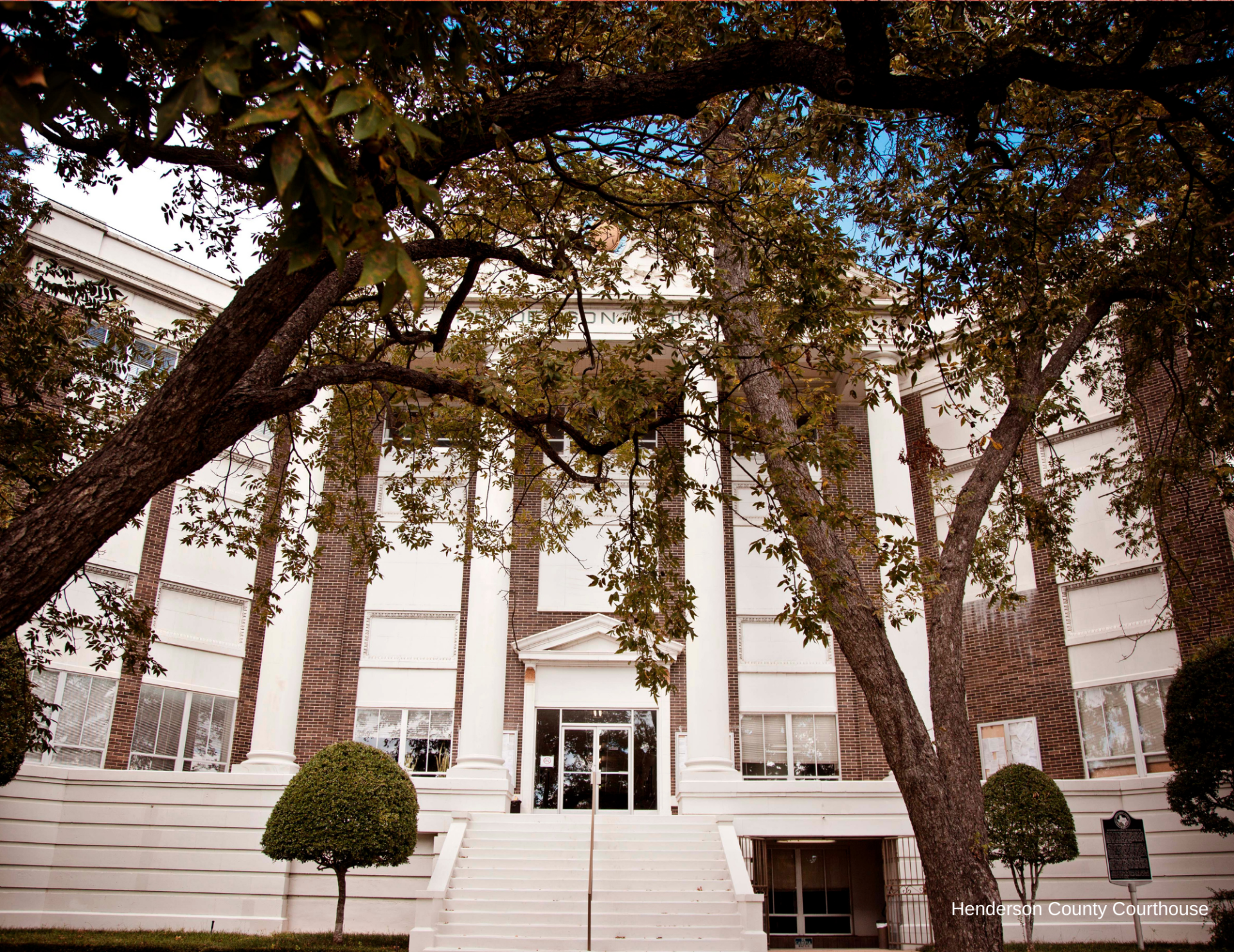 White-columned building entrance framed by trees and steps, with brick accents and landscaped shrubs.