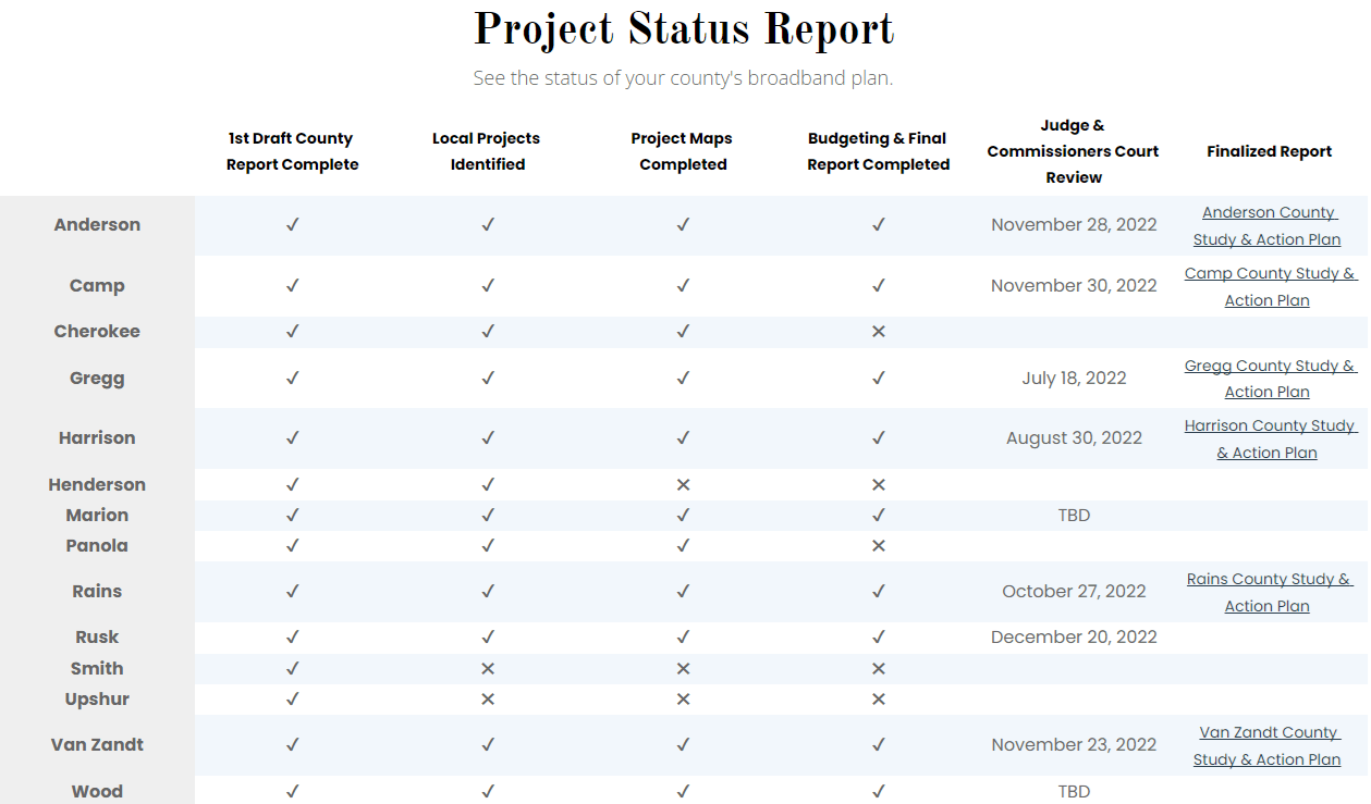 A project status report is shown on a white background