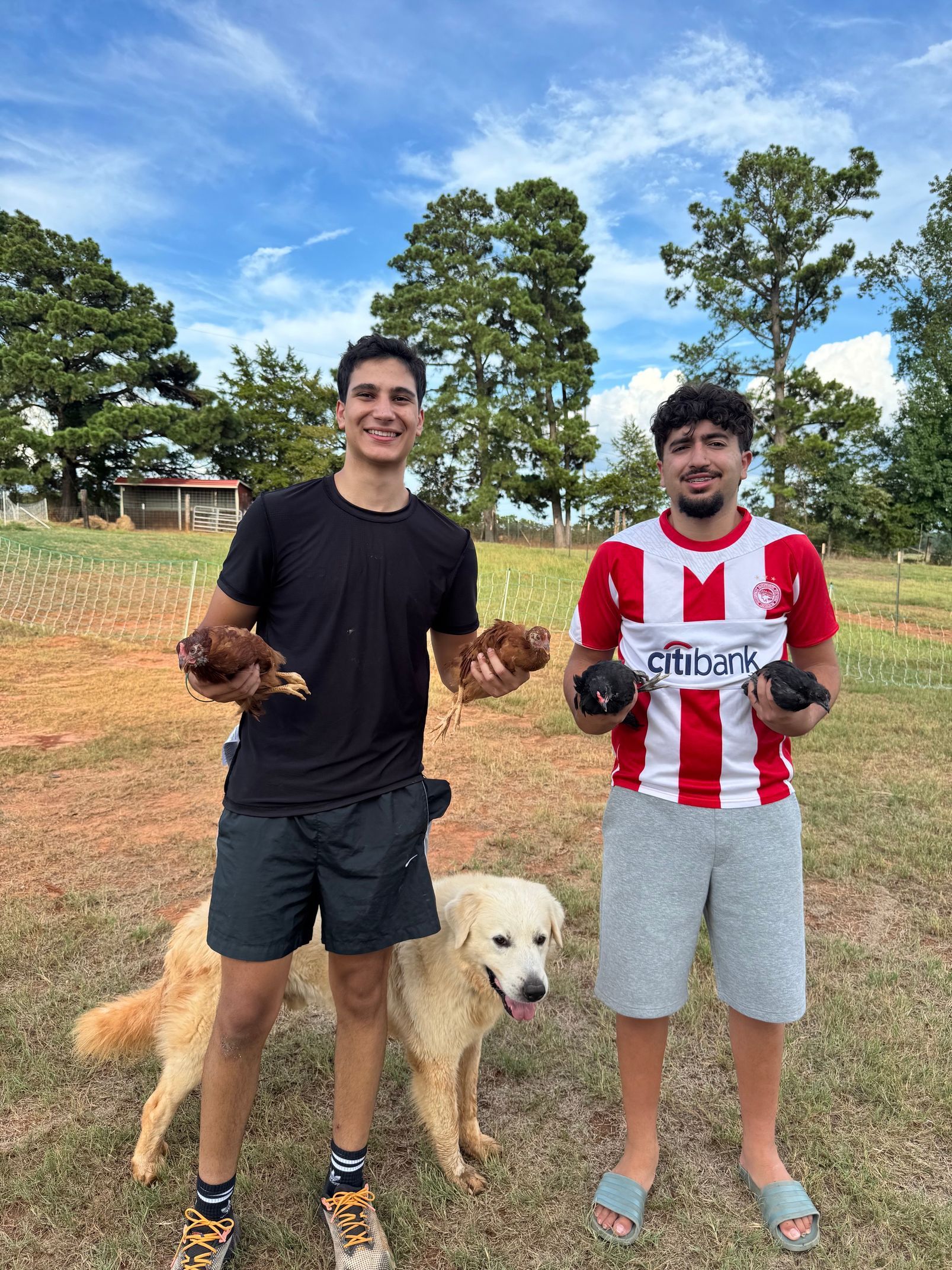 Two people standing outdoors with two dogs, one holding a brown puppy and the other a white dog in a striped shirt.