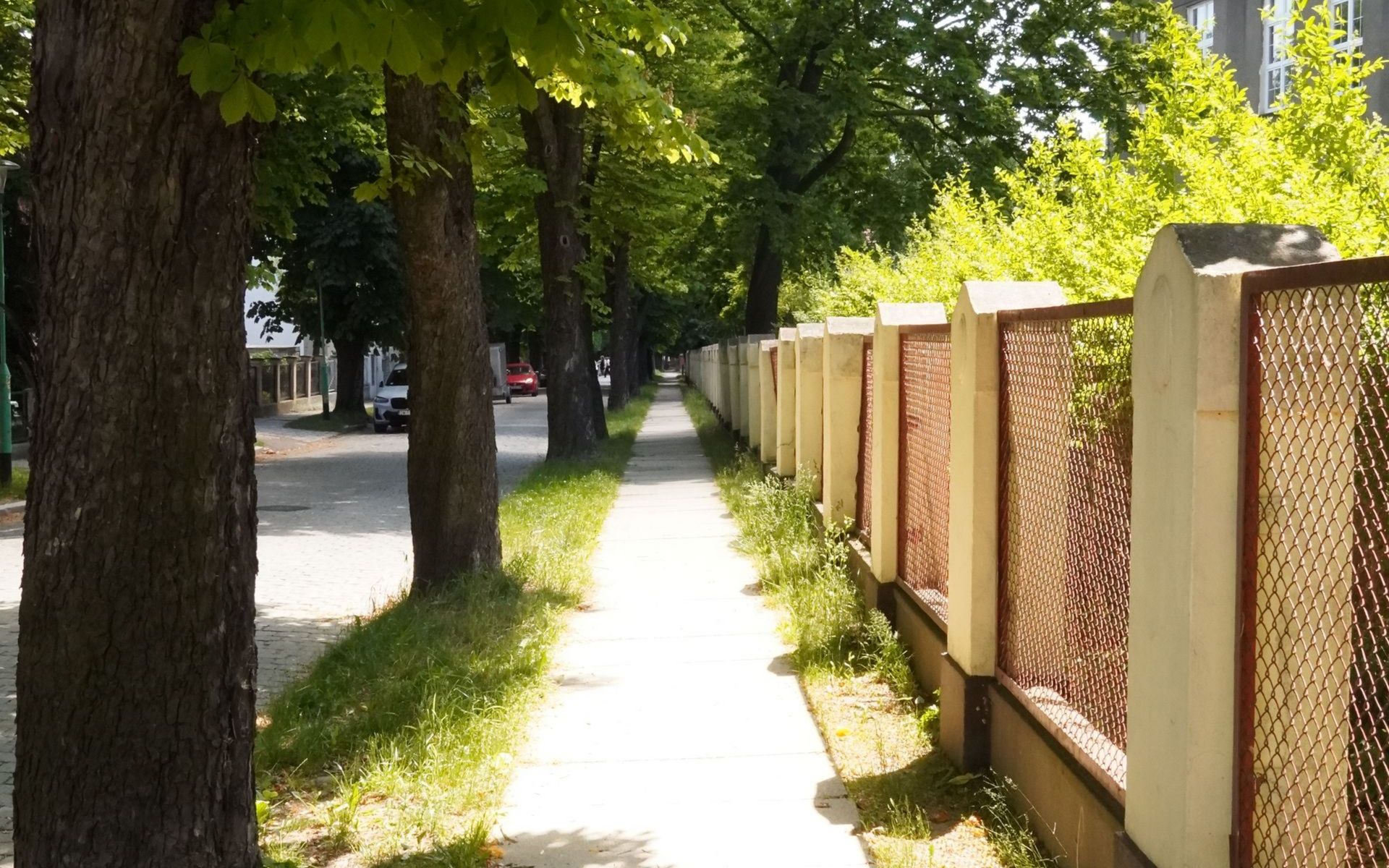 Sunny sidewalk lined with trees and a fence along a quiet street