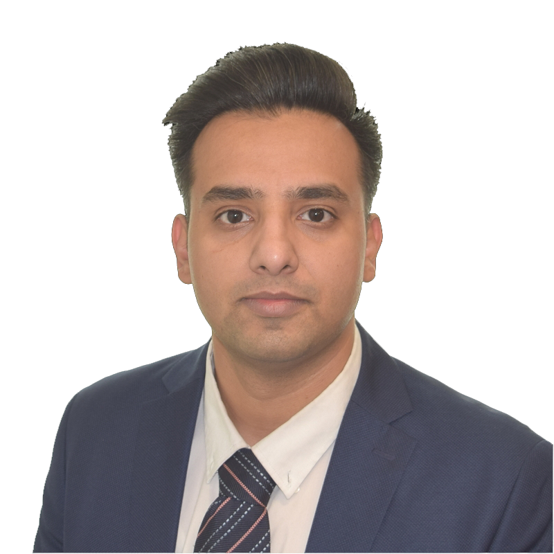 michael hazan toronto lawyer