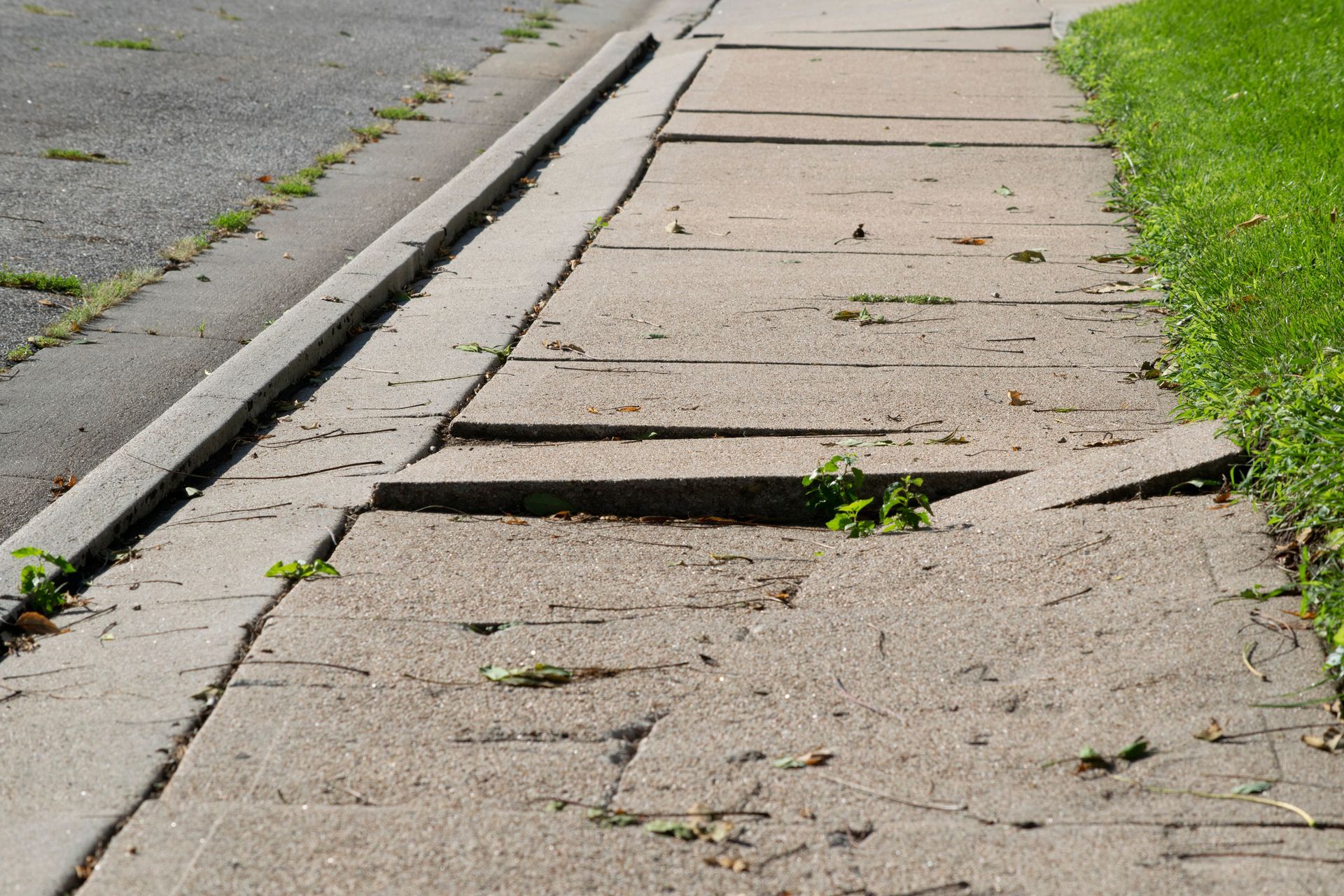 A cracked and uneven sidewalk with visible vegetation growing through the cracks, showcasing common springtime tripping risks.