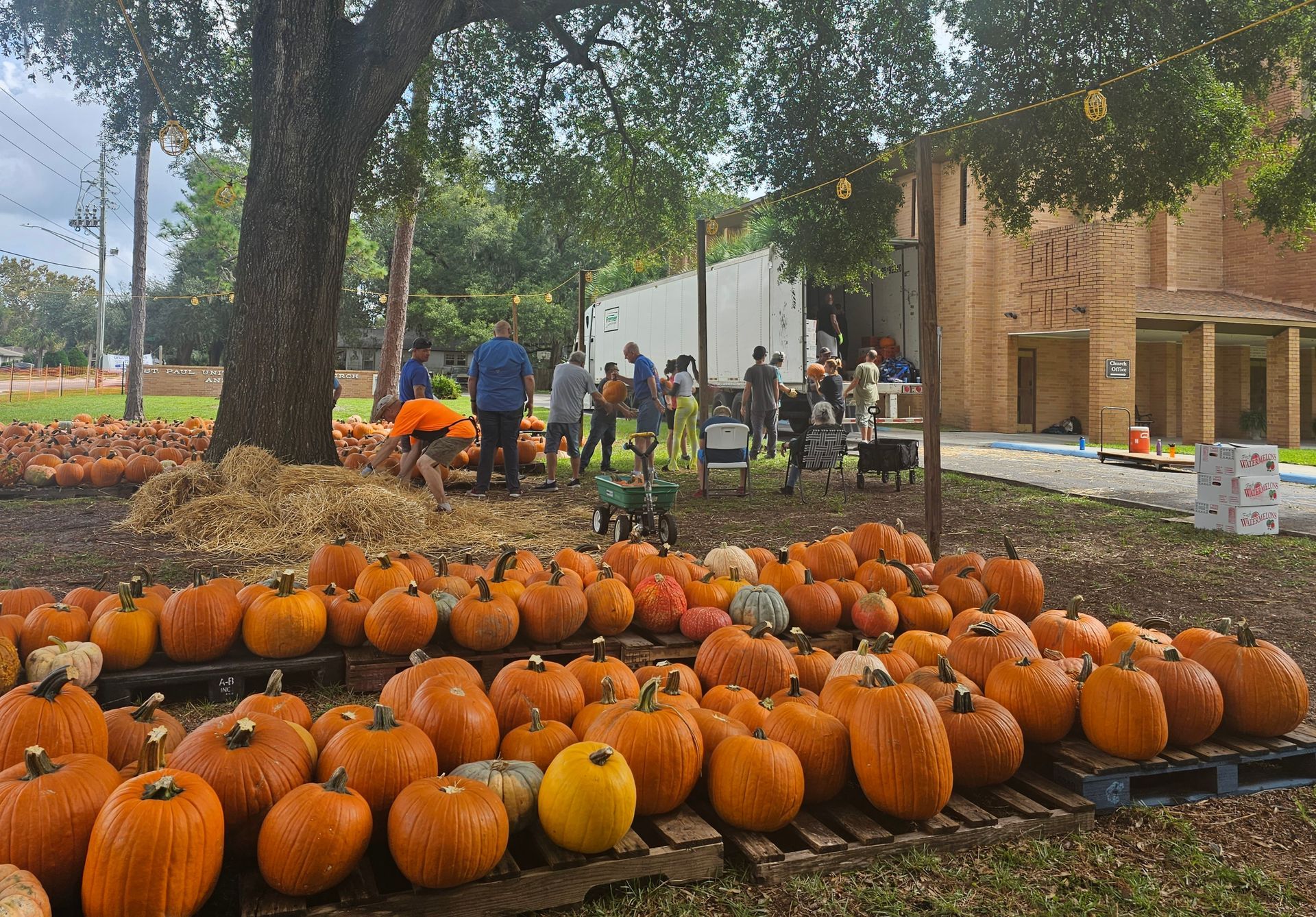 Pumpkin Patch