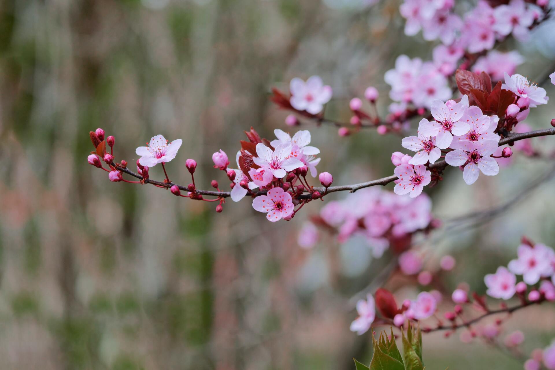 Coaching Natur Bewegung Spaziergang Wilmersdorf Steglitz Schmargendorf Therapie Stress Prävantion