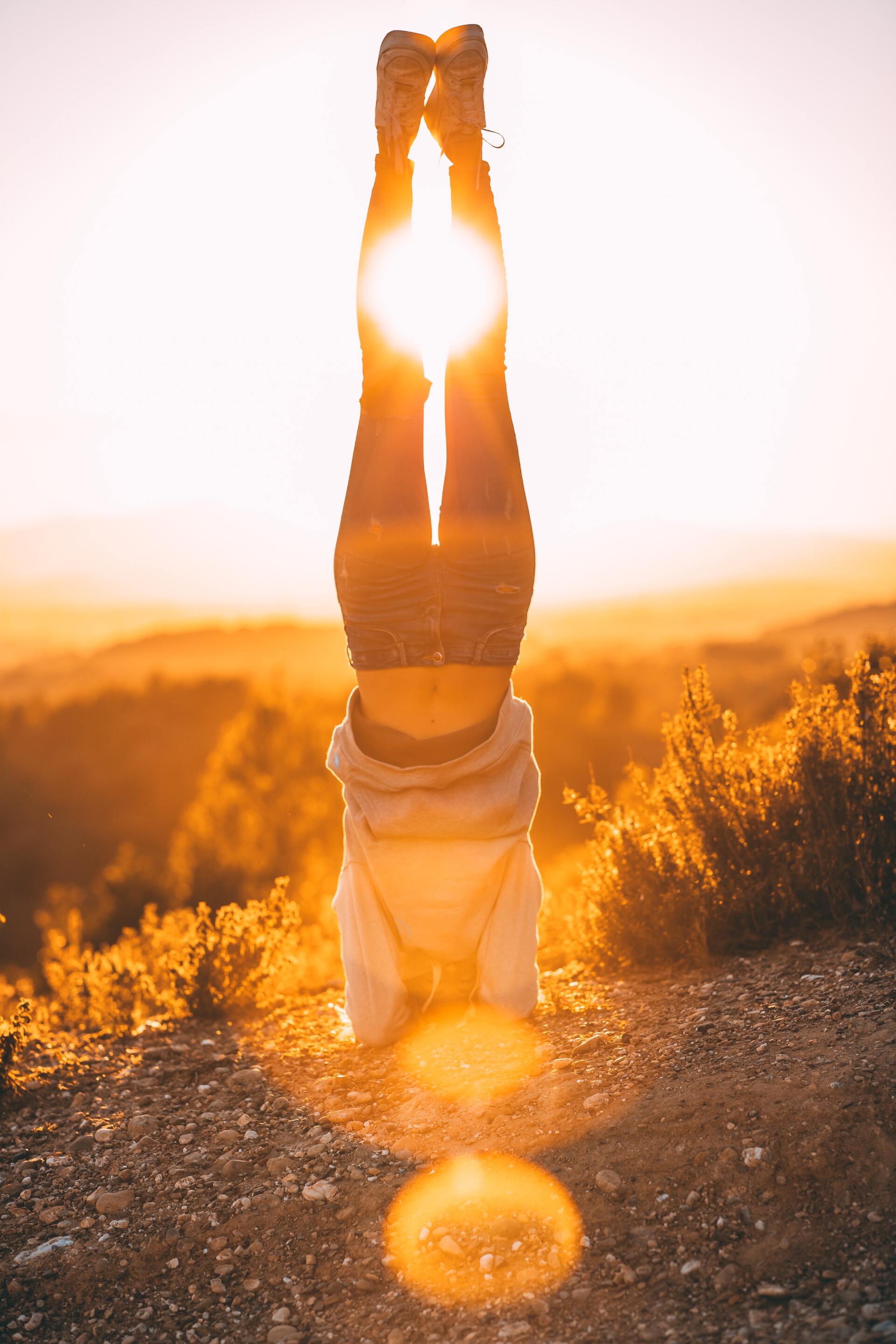 jannes-jacobs-lodQbhS8pHI-unsplash