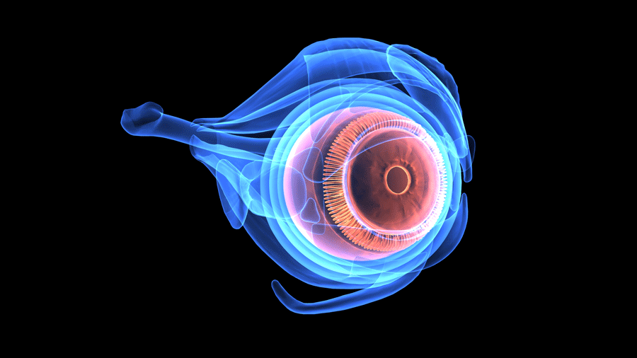 A computer generated image of a human eye on a black background.