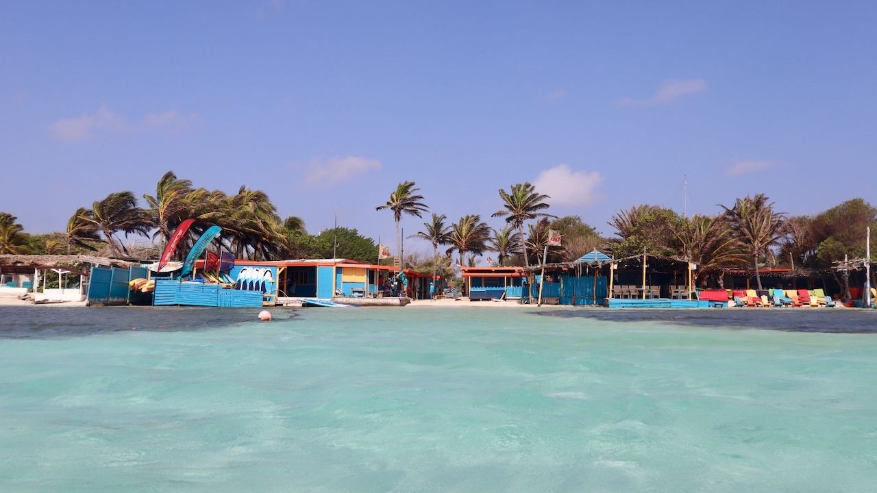 A beach with palm trees and a boat in the water
