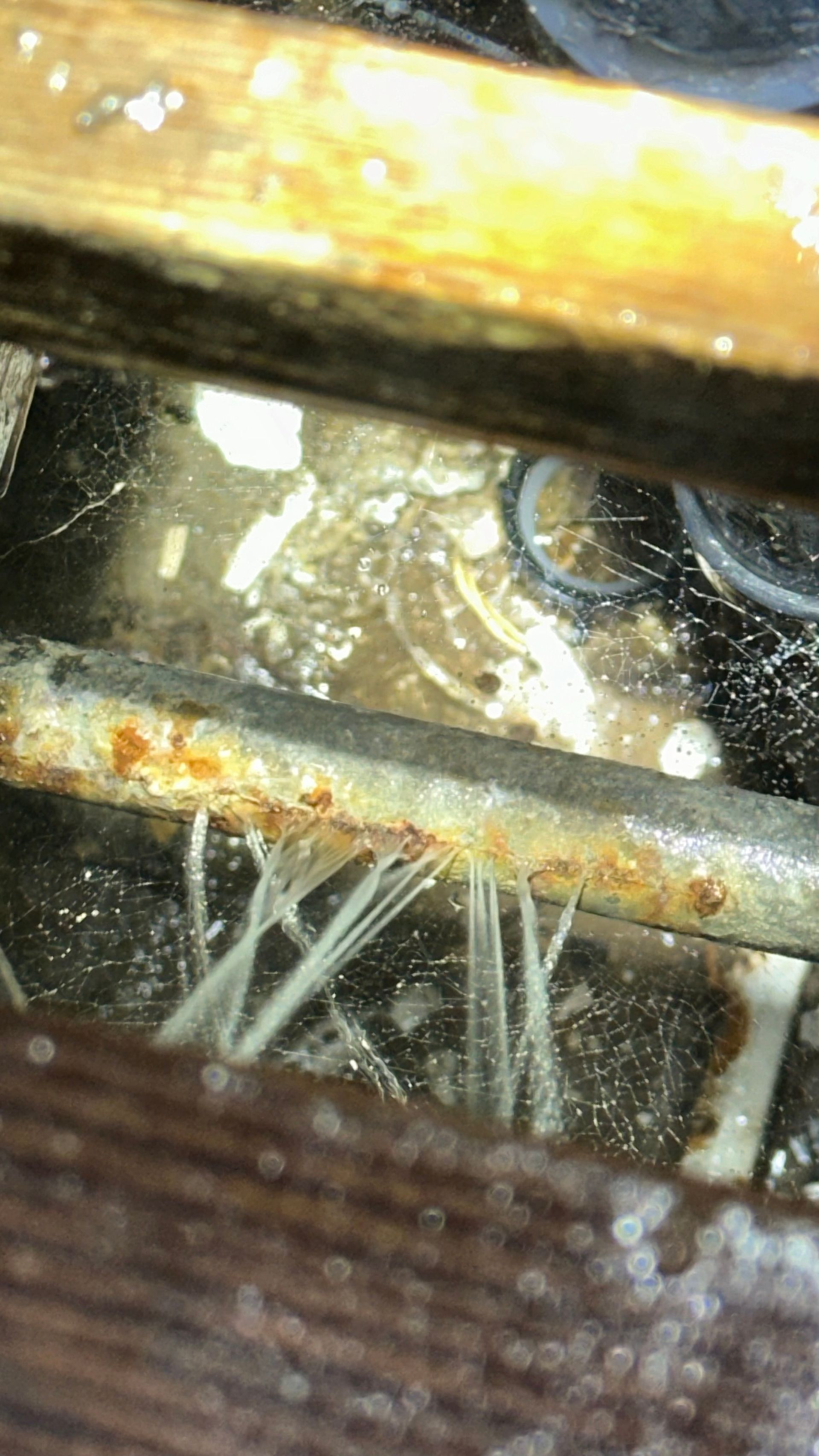 Emergency Plumbing Services by J & L PLUMBING SERVICES in Anaheim Ca call 626-722-2266