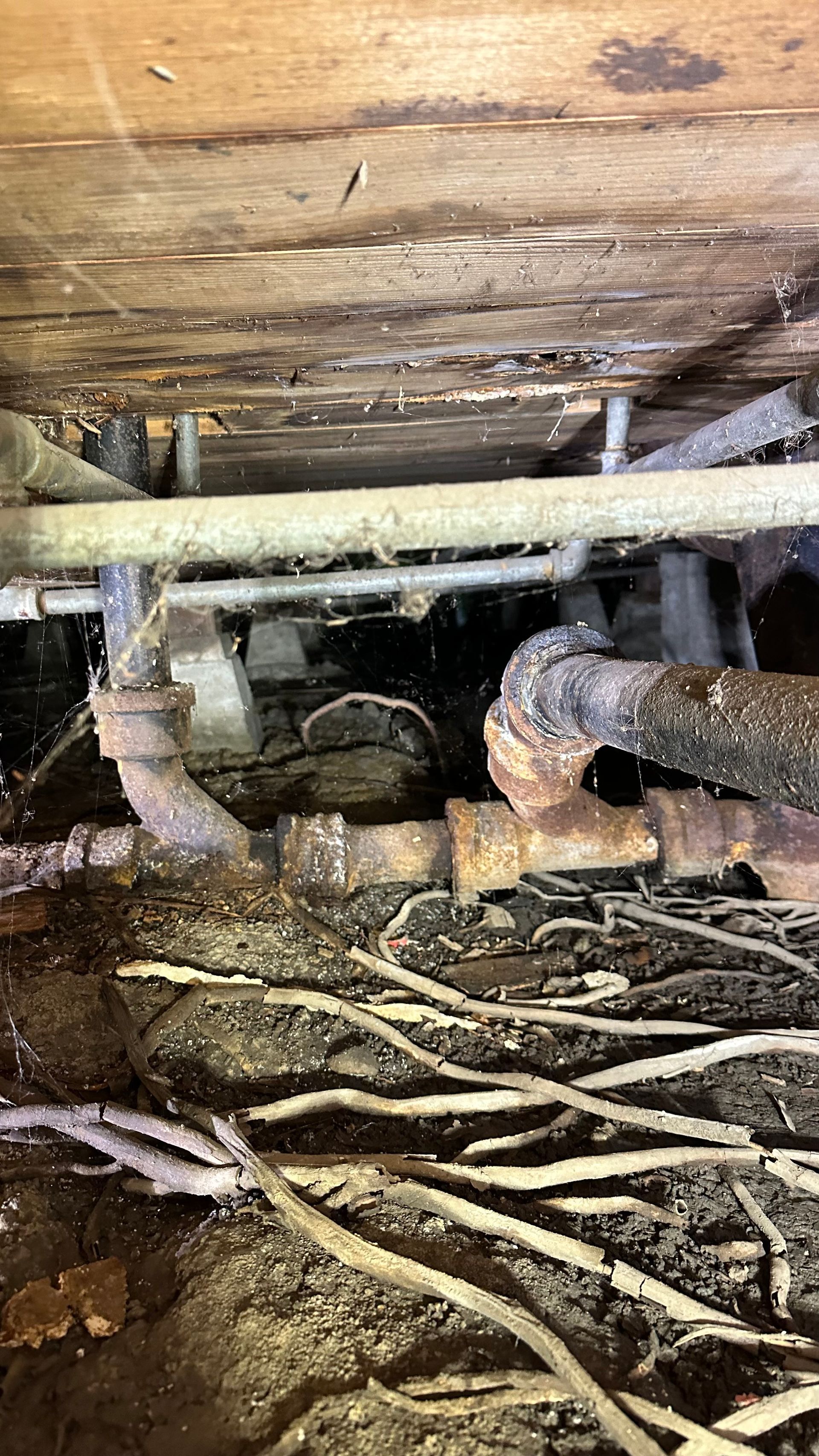 Emergency Plumbing Services by J & L PLUMBING SERVICES in Anaheim Ca call 626-722-2266