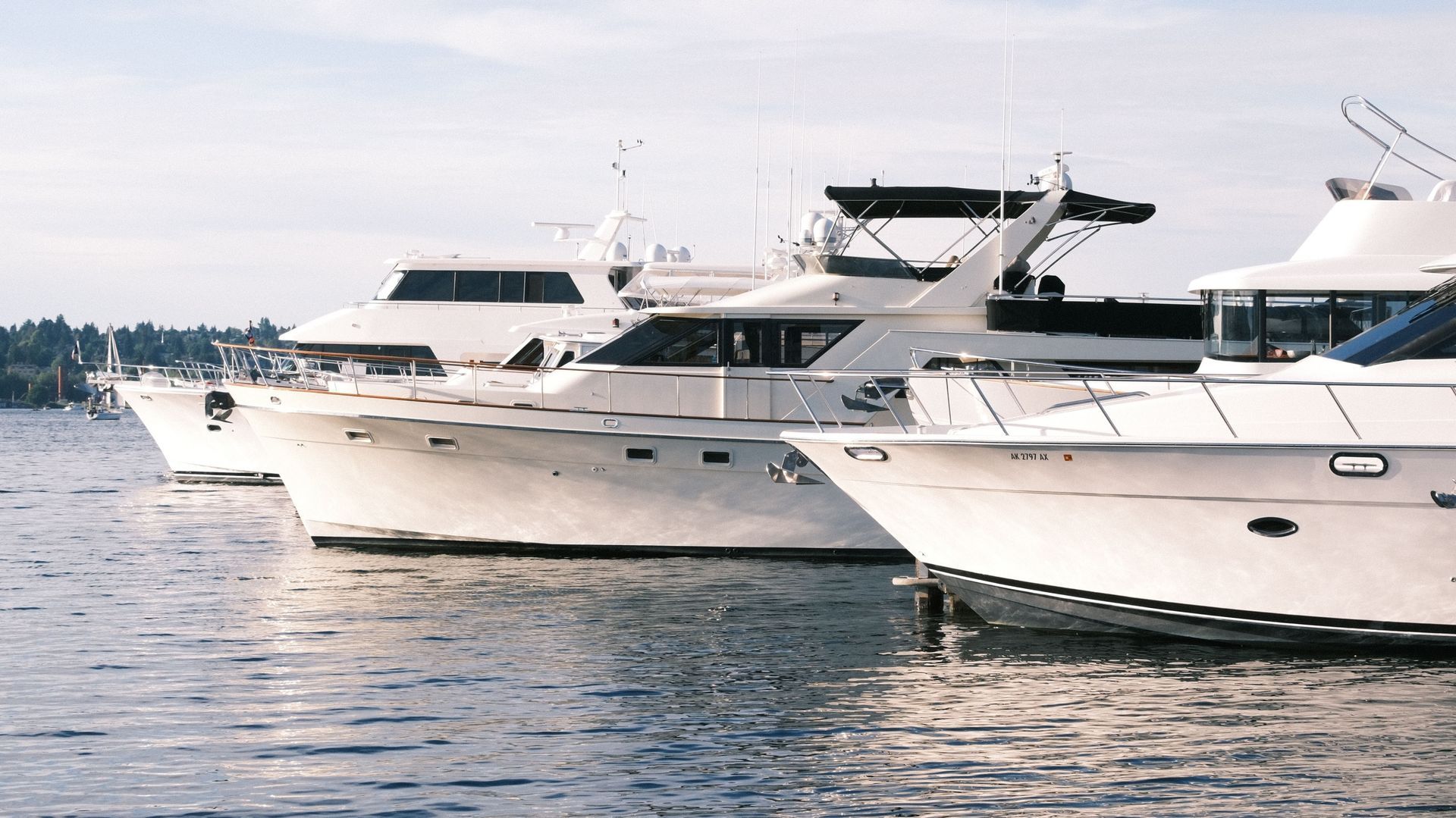 Boat General Inspection