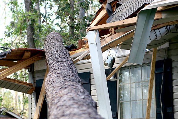 Storm Damage Repair in Garland, TX Storm Damage Repair in Garland, TX