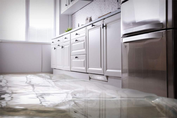 Residential and Commercial Water Damage Repair in Garland, TX Residential and Commercial Water Damage Repair in Garland, TX