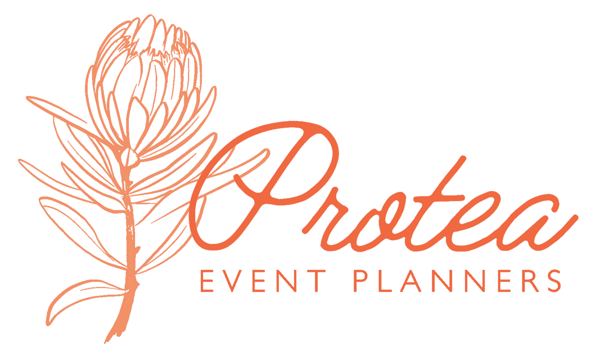 Orange Protea flower illustration with "Protea Event Planners" text.