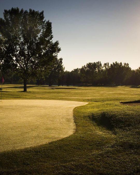 Golf course green, fairway, and trees under a clear sky.