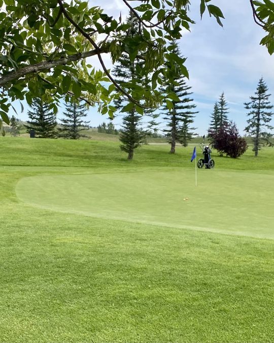Green golf course with a small motorized cart near the flag. Trees line the fairway under a blue sky.