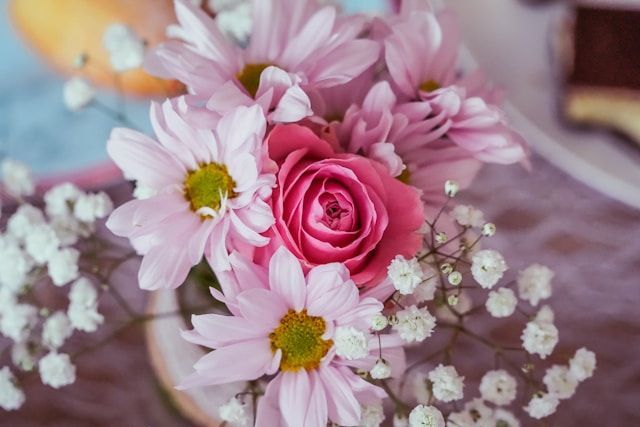 direct cremation Wauwatosa WI