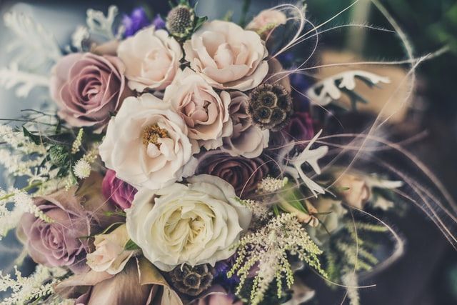 direct cremation Whitefish Bay WI