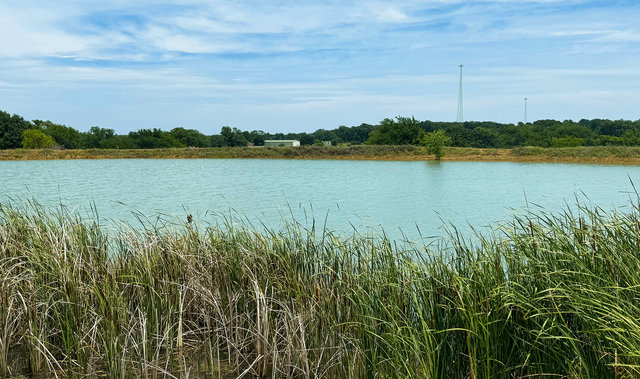 Calm blue lake with reeds in the foreground, green shoreline, and a partly cloudy sky