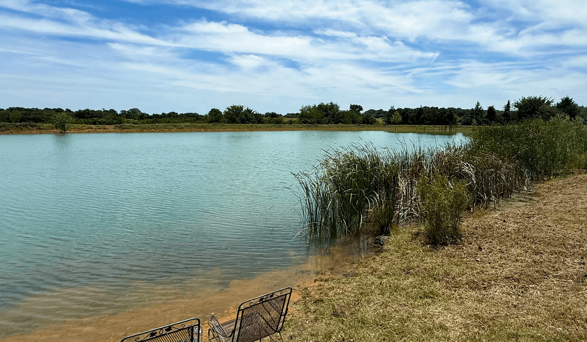 Calm lake with reeds and dry grassy shore under a clear sky