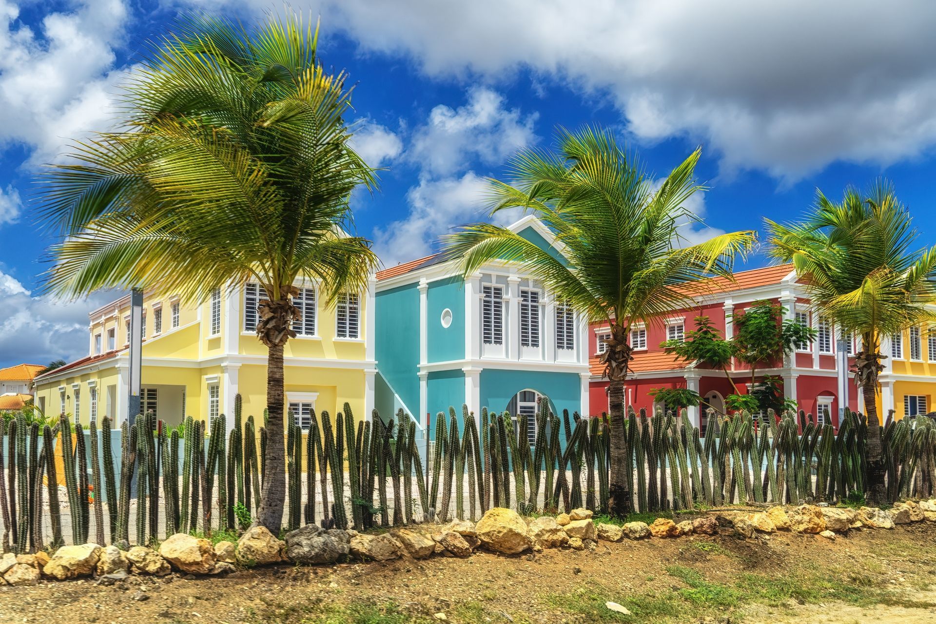 Nestled in the heart of the Caribbean, Bonaire offers a paradise waiting to be explored.