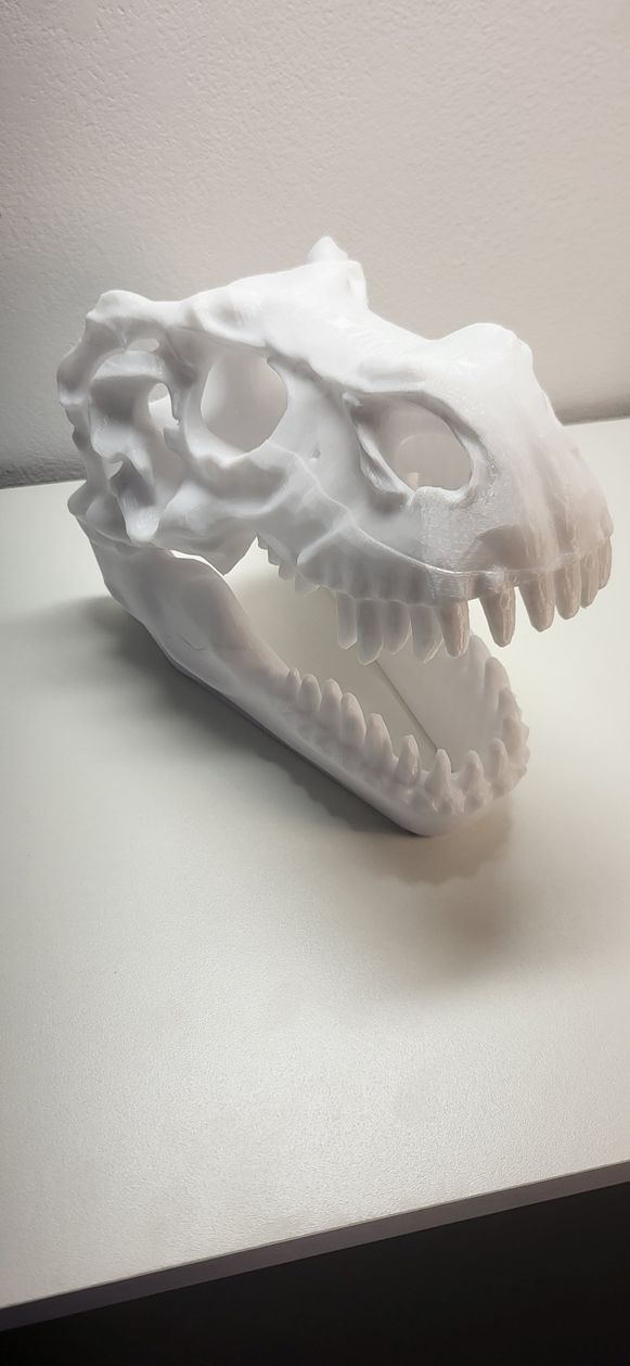 Dinosaurus schedel