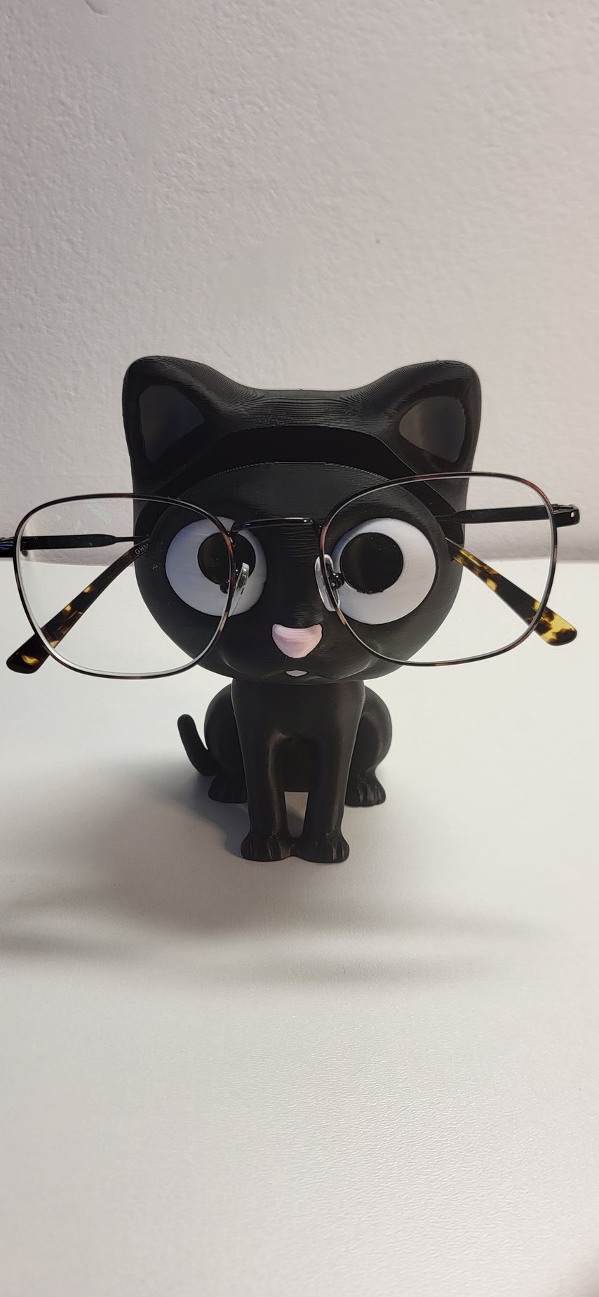 Brilhouder kat