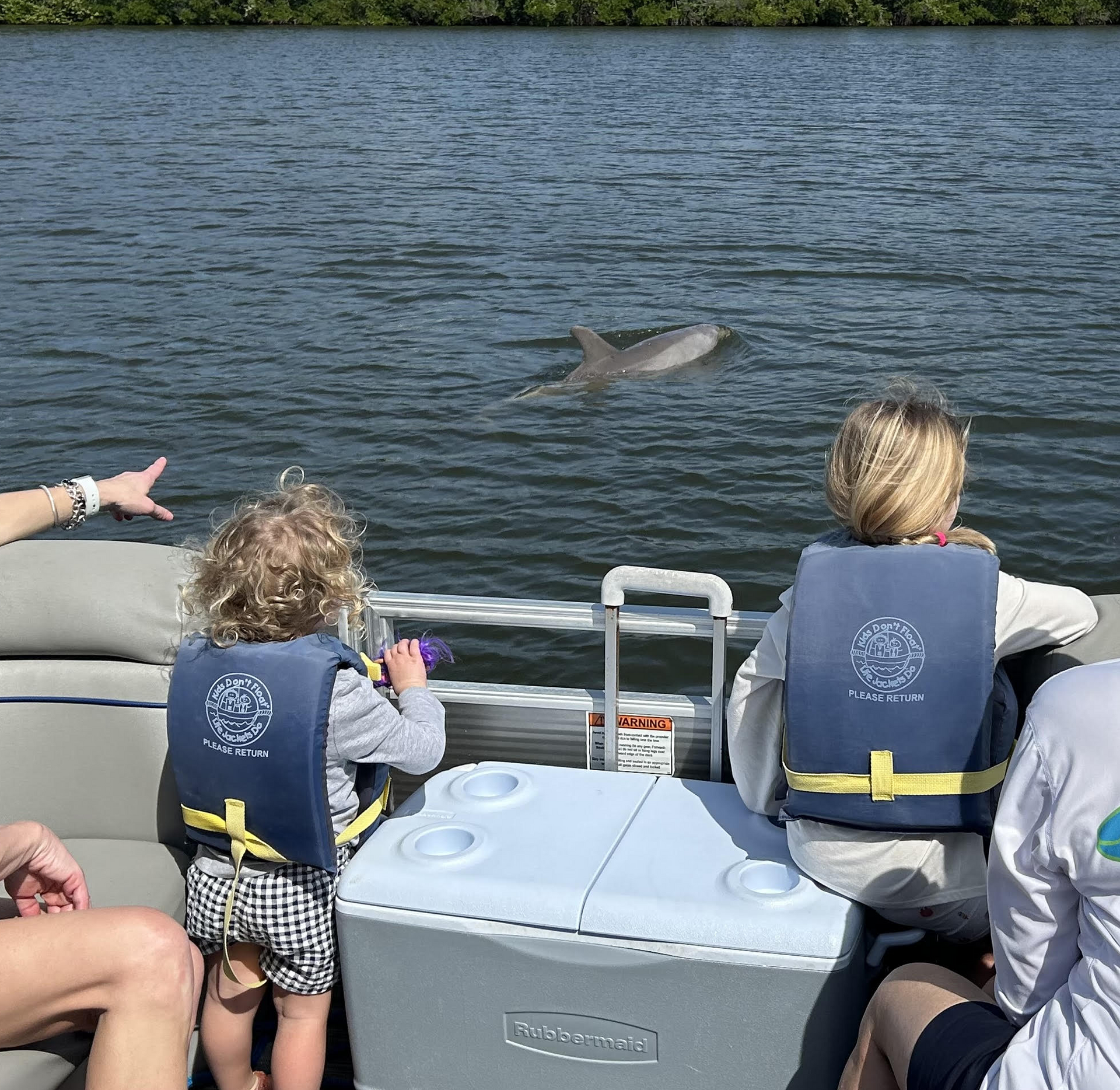 Children in life jackets watch a dolphin swim beside a boat on calm water.