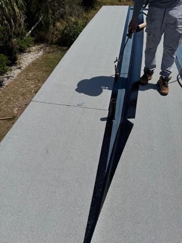 Person using a long-handled tool on a sunlit paved path beside grass and bushes.