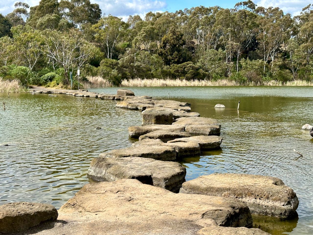 Newport Lakes