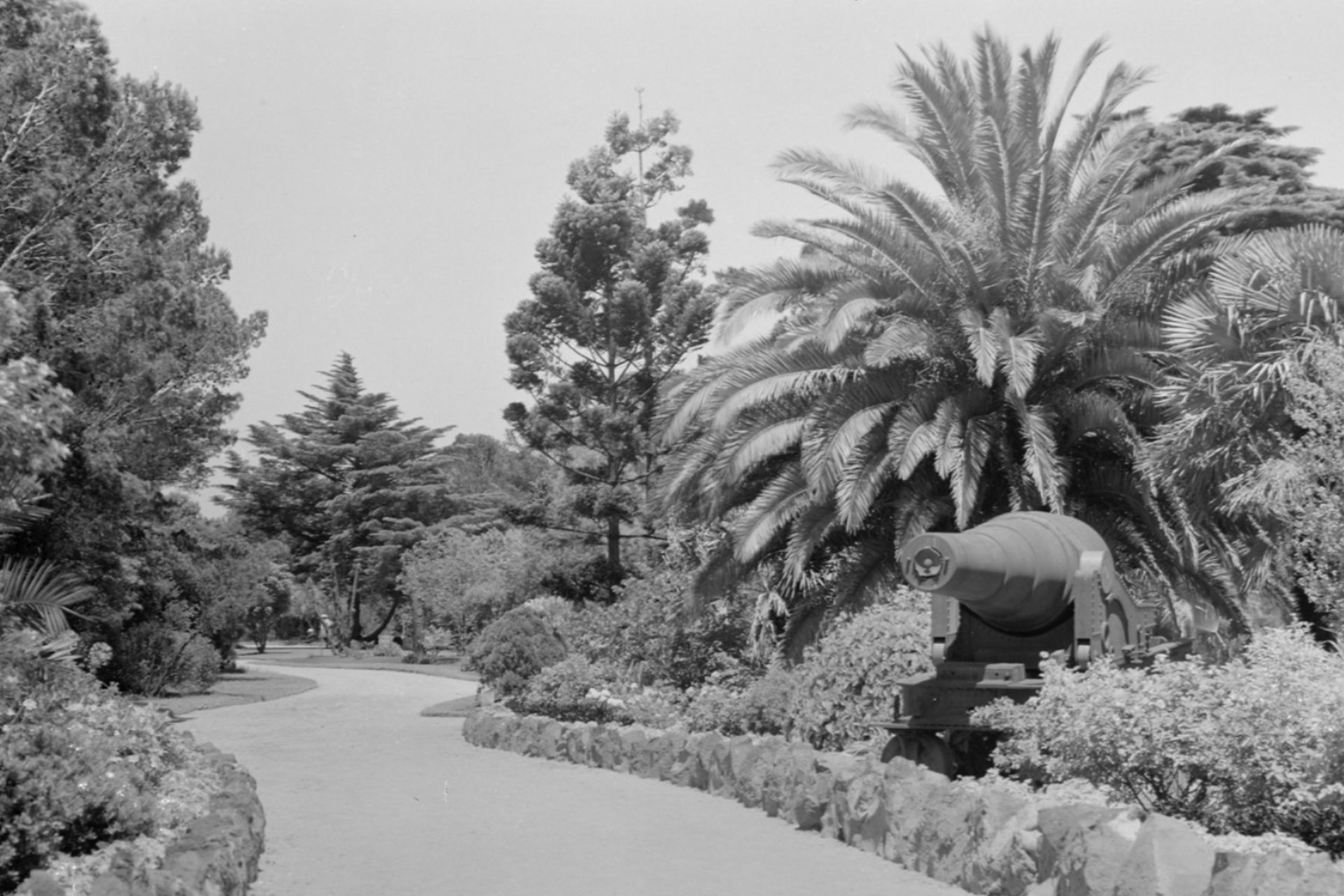 Williamstown Botanic Gardens