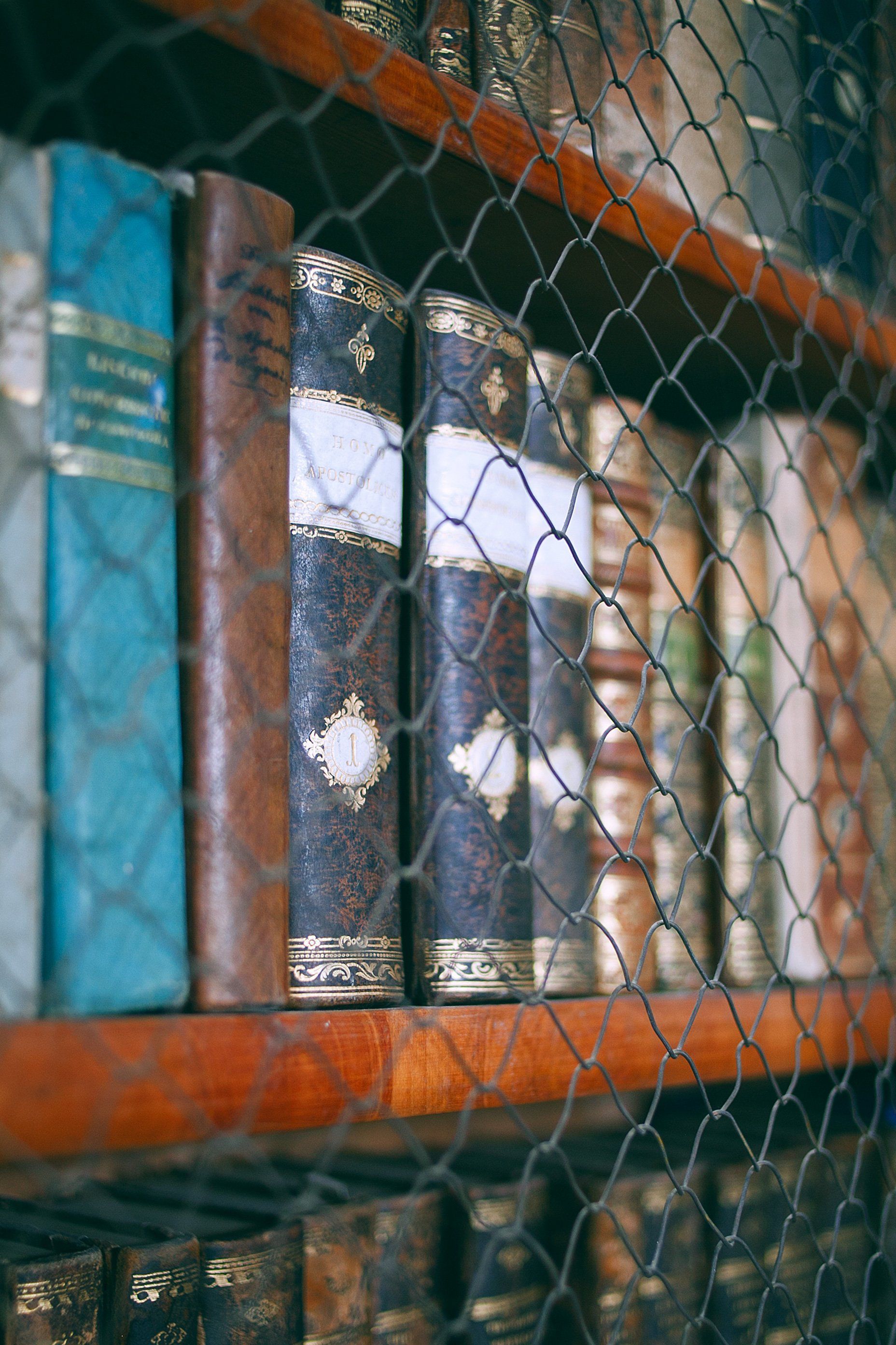 Books showing other history resources