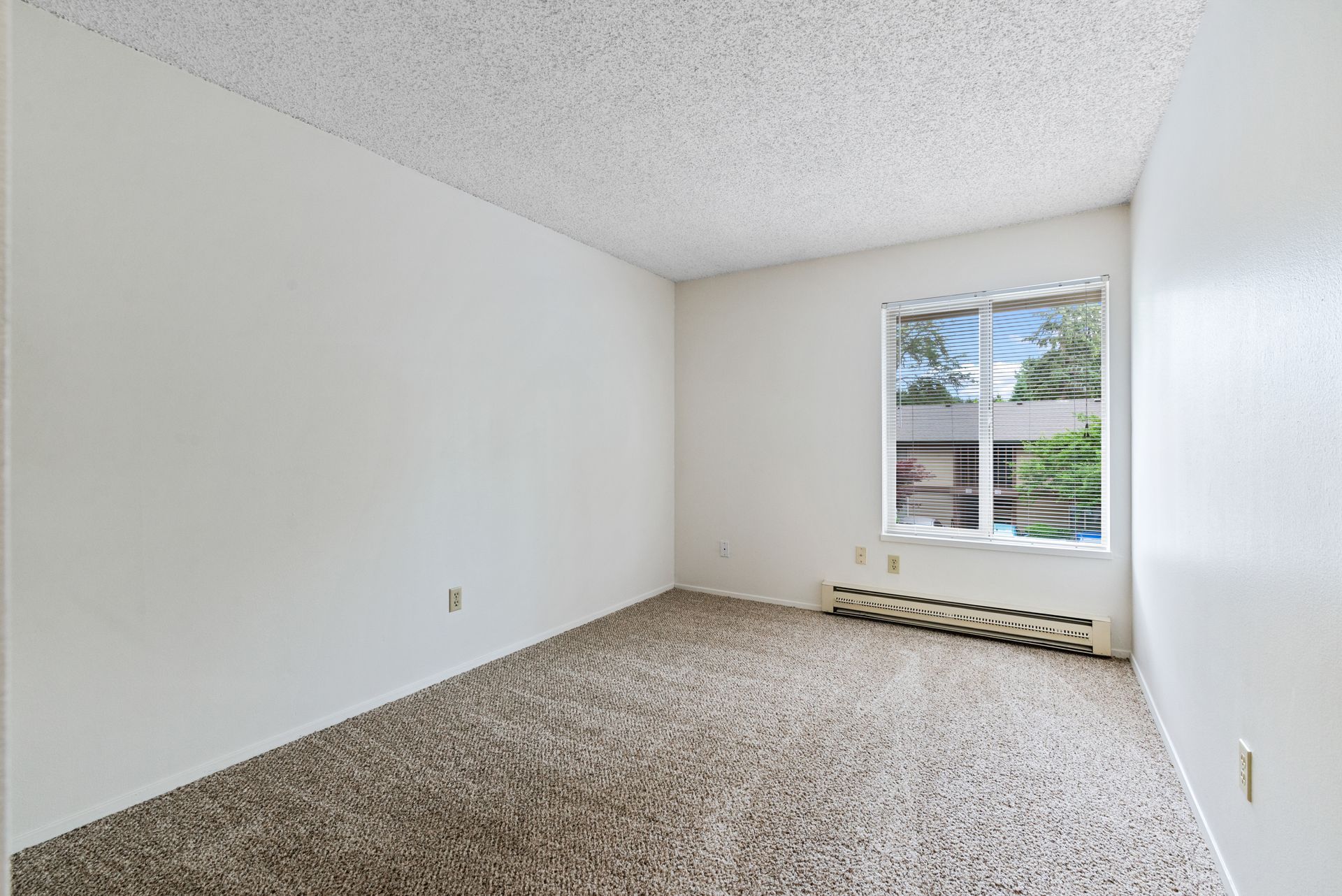 Empty beige bedroom with carpet, white walls, and a window letting in daylight.