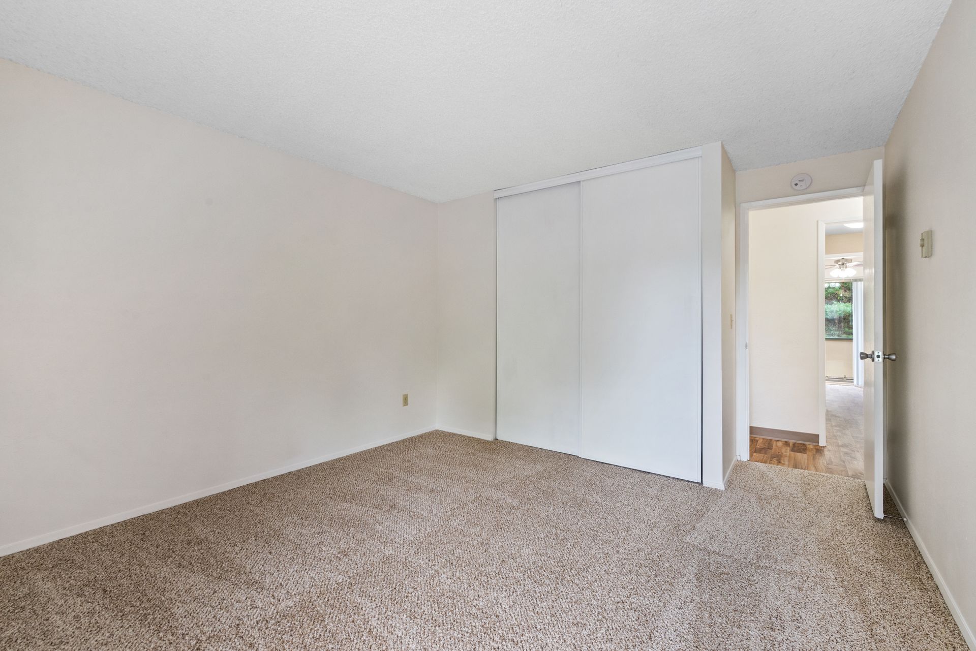 Empty carpeted bedroom with white walls, closet doors, and a doorway to a hall