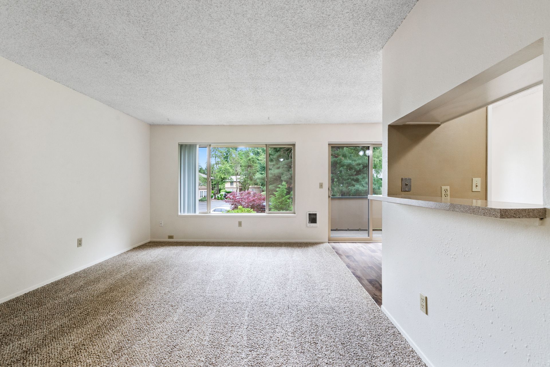 Empty carpeted living room with white walls, large windows, and a pass-through opening to the kitchen.
