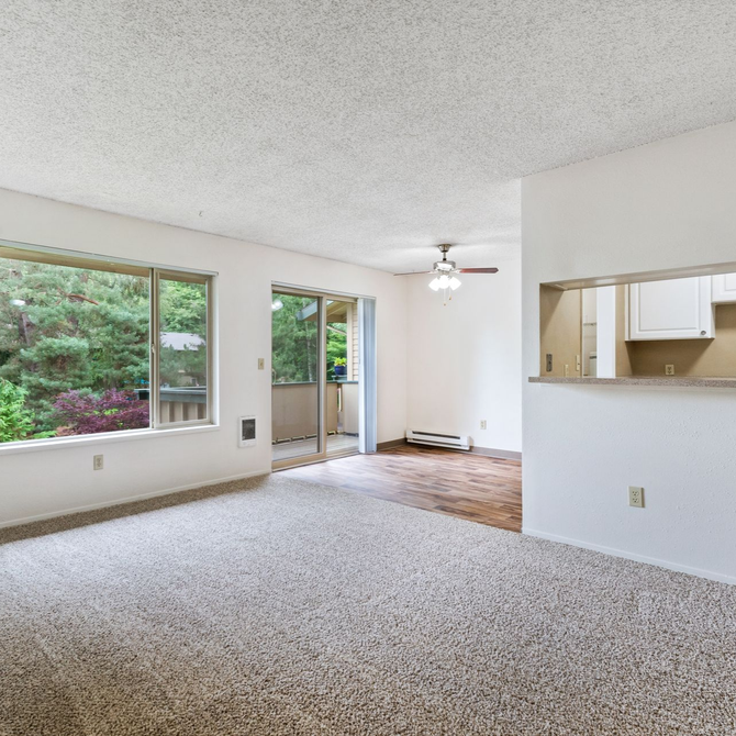 Bright empty living room with carpet, large windows, and a view into the kitchen pass-through.