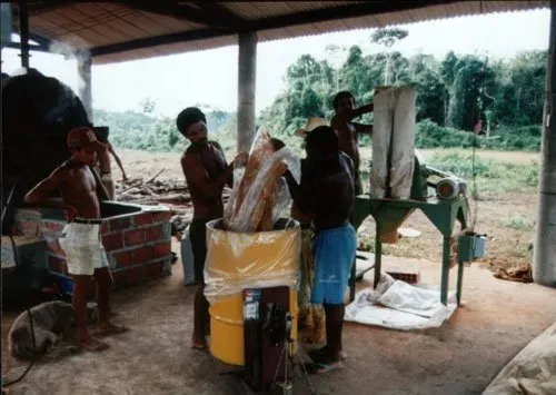 Verarbeitung von BIO-Guaran in Brasilien