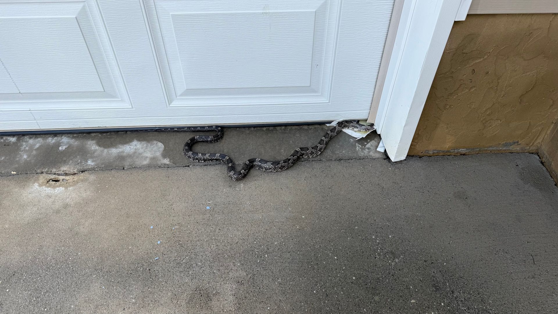 Damaged garage door threshold with cracked black seal along the bottom edge on concrete floor