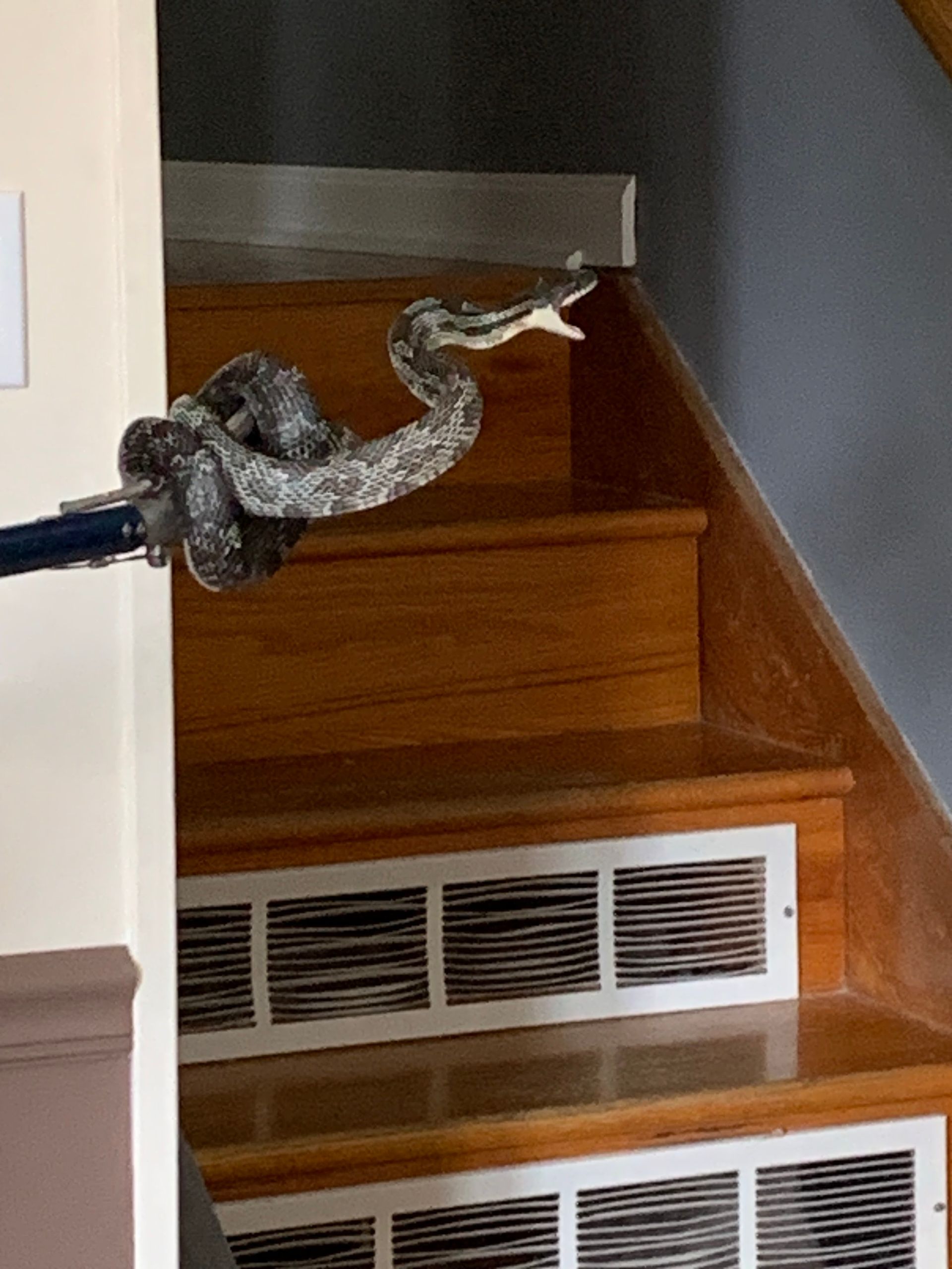 Broken stair rail on wooden steps inside a home