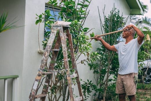 Person standing on a ladder painting a house exterior in a garden