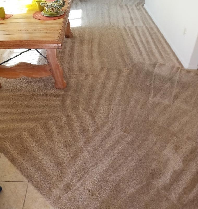 Carpet Cleaning Service Tucson, AZ . 3 Rooms for only 79